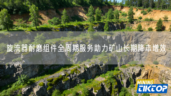 旋流器耐磨组件全周期服务助力矿山长期降本增效