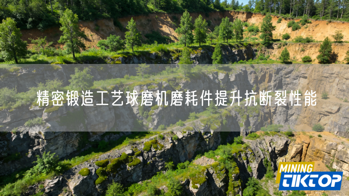 精密锻造工艺球磨机磨耗件提升抗断裂性能