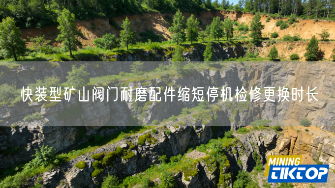 快装型矿山阀门耐磨配件缩短停机检修更换时长